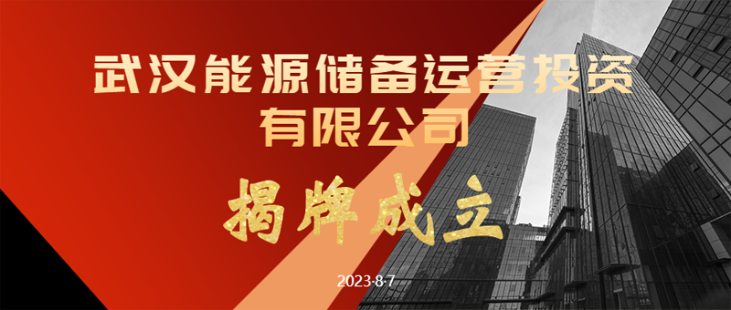 市城投集团公司与黄陂区再携手！武汉能源储备运营投资公司落子空港新城-集团动态-武汉城投集团 