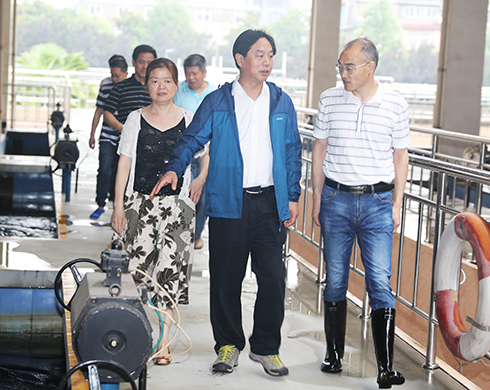 首页| 尊龙集团中国官方网站