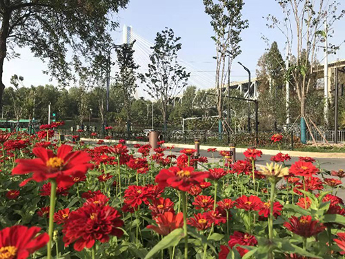 首页| 尊龙集团中国官方网站