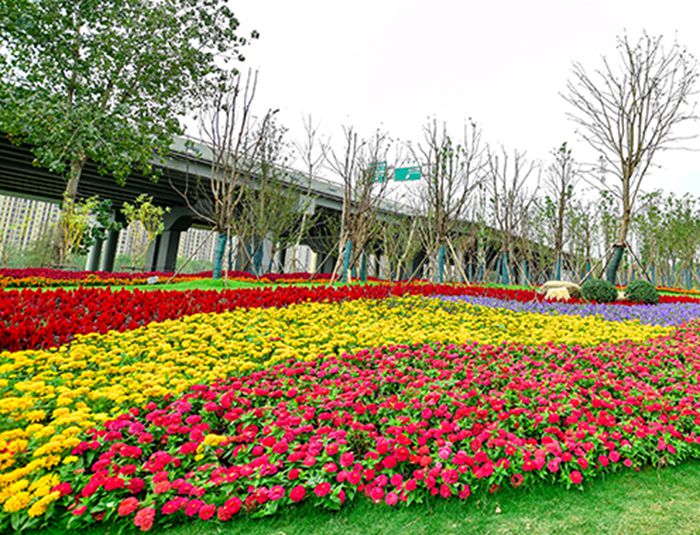 首页| 尊龙集团中国官方网站